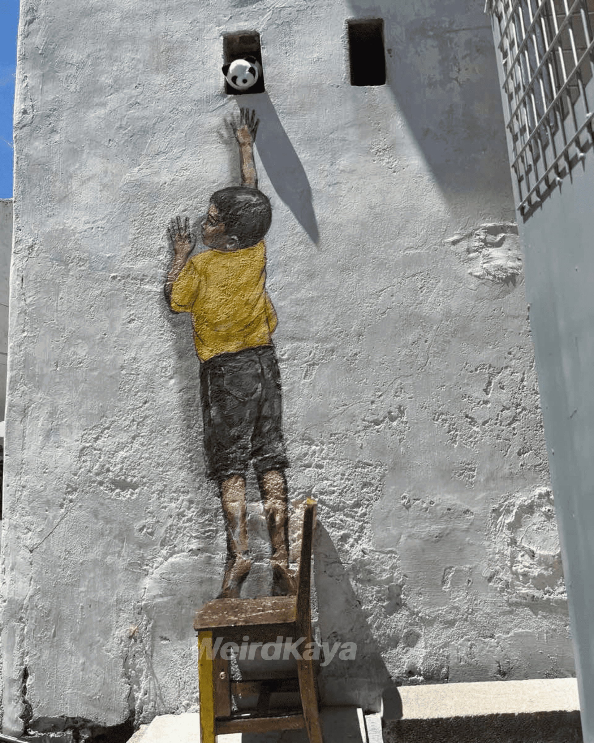 Boy on a Chair