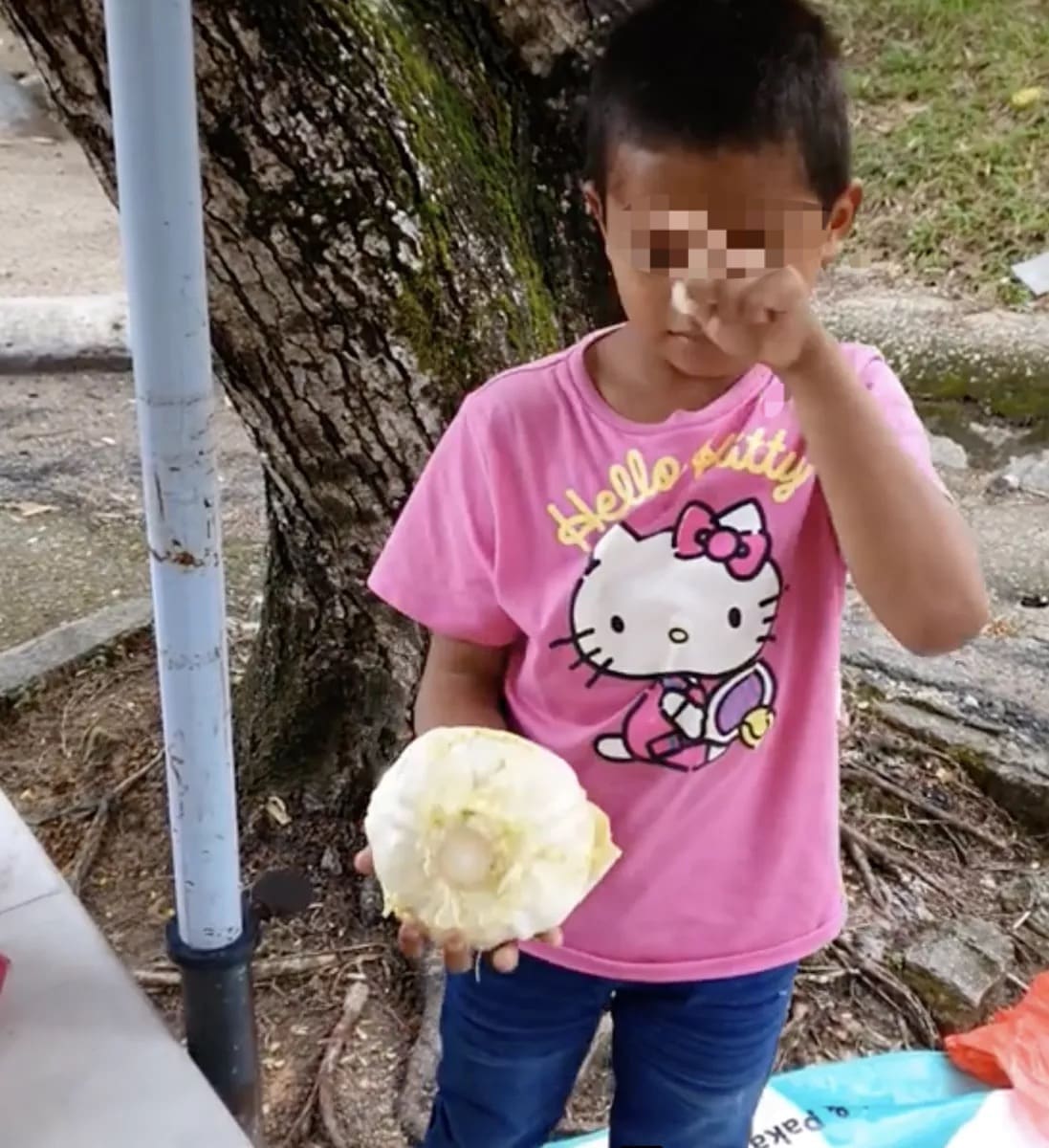 10yo M'sian boy spends Hari Raya by selling vegetables at TTDI alone 03