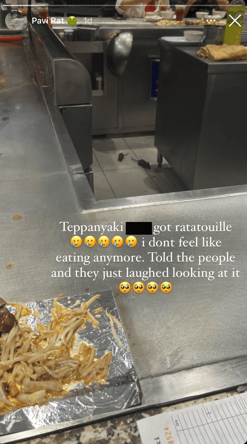 2 rats spotted running freely in Teppanyaki restaurant in KL shopping mall