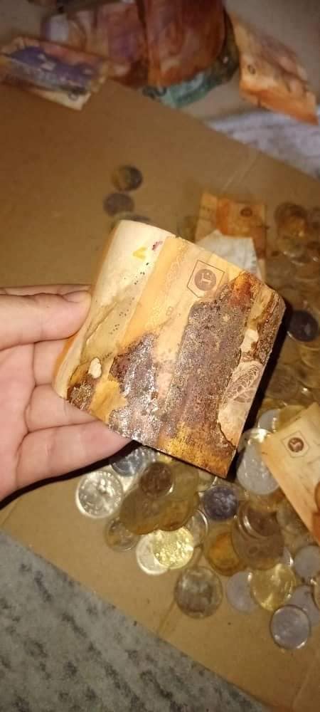 M'sian woman's hard earned savings crumbles into dust