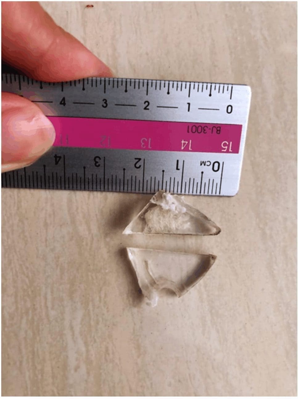 [ALERT!] Malaysian lady finds glass fragments in her Gardenia bread