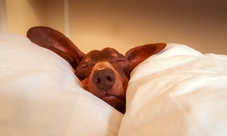 Always short of time? Here are ten habits you should ditch immediately
