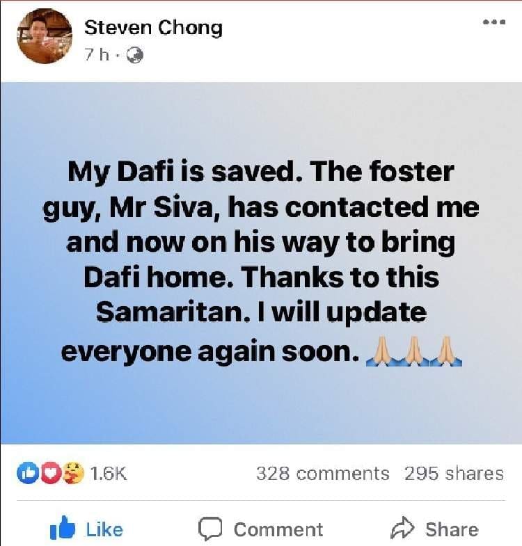Motorists band together to rescue a lost dog from heavy traffic at Jalan Cheras