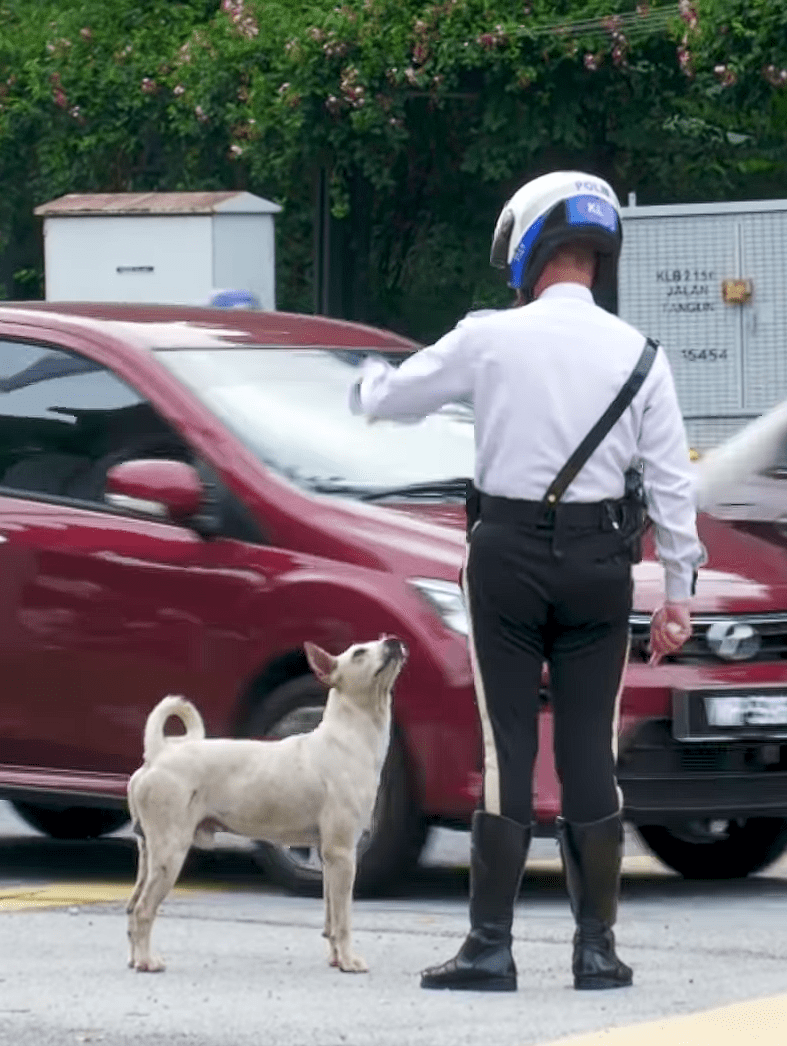 wk dog with traffic police