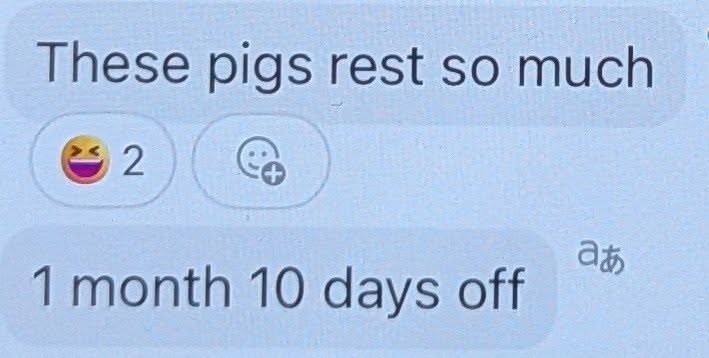  wk these pigs rest so much 