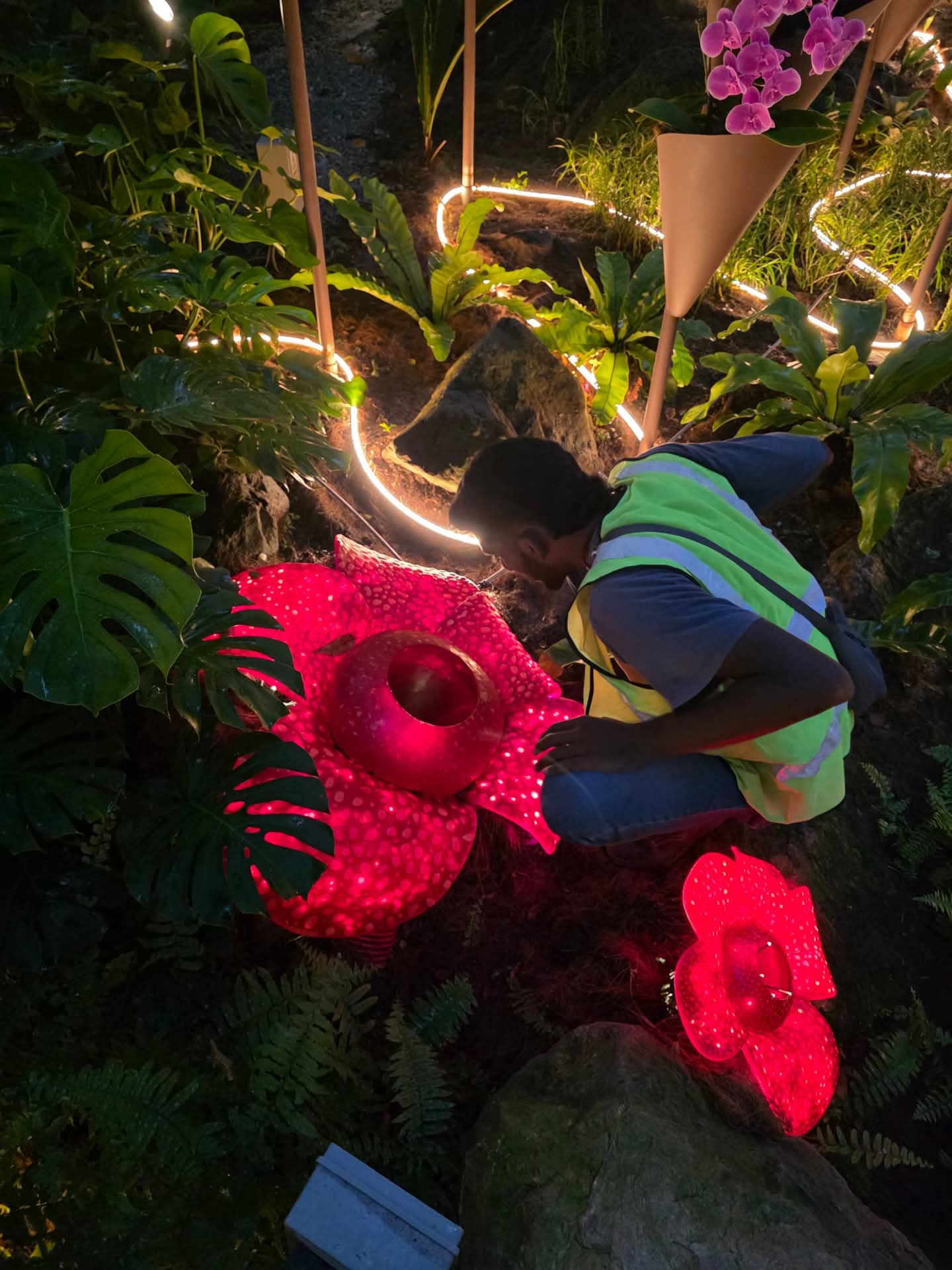 wk “not fake, it’s an installation” m’sian team explains klia ’s viral hornbill & rafflesia
