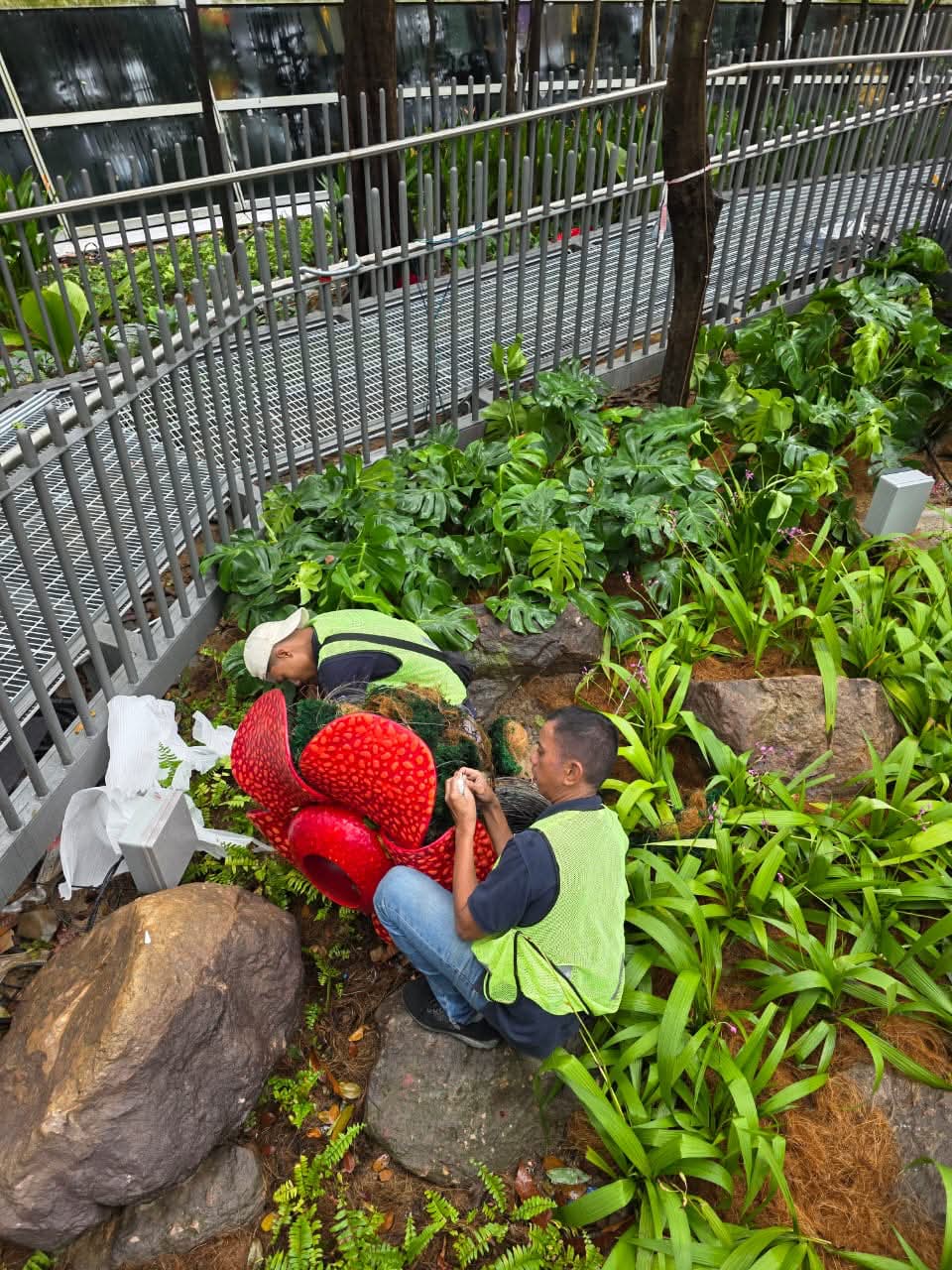 wk “not fake, it’s an installation” m’sian team explains klia ’s viral hornbill & rafflesia
