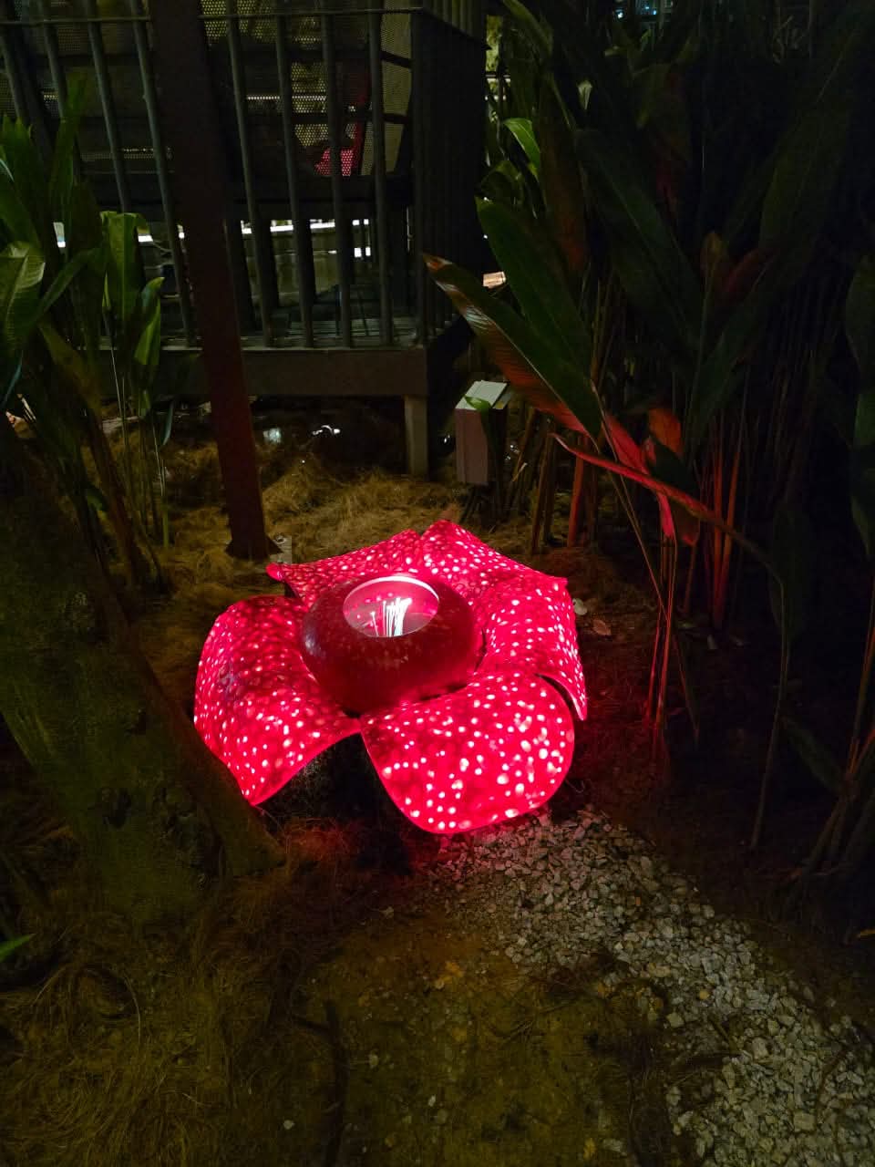 wk “not fake, it’s an installation” m’sian team explains klia ’s viral hornbill & rafflesia