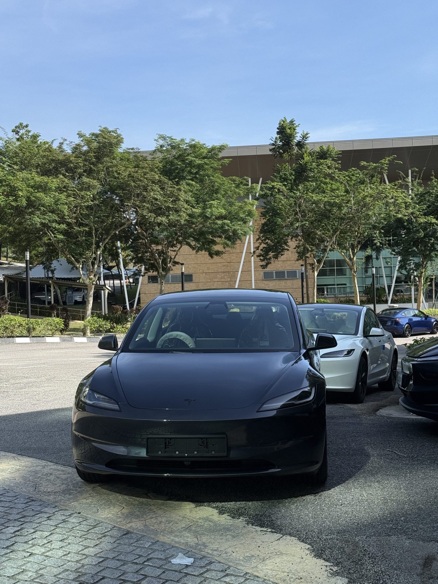 wk tesla cars
