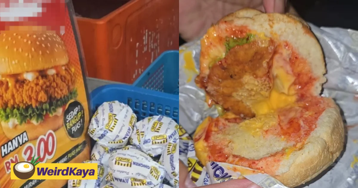 M’sian Buys RM3 Crispy Chicken Burger, Shocked To Find What Looks Like Half A Piece Of Chicken Inside | WeirdKaya