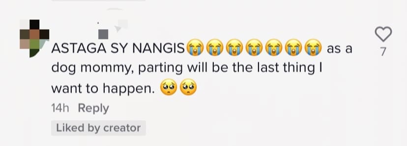 Netizens Saddened Over Loki's Last Moments With Its Owner During National Day Celebration