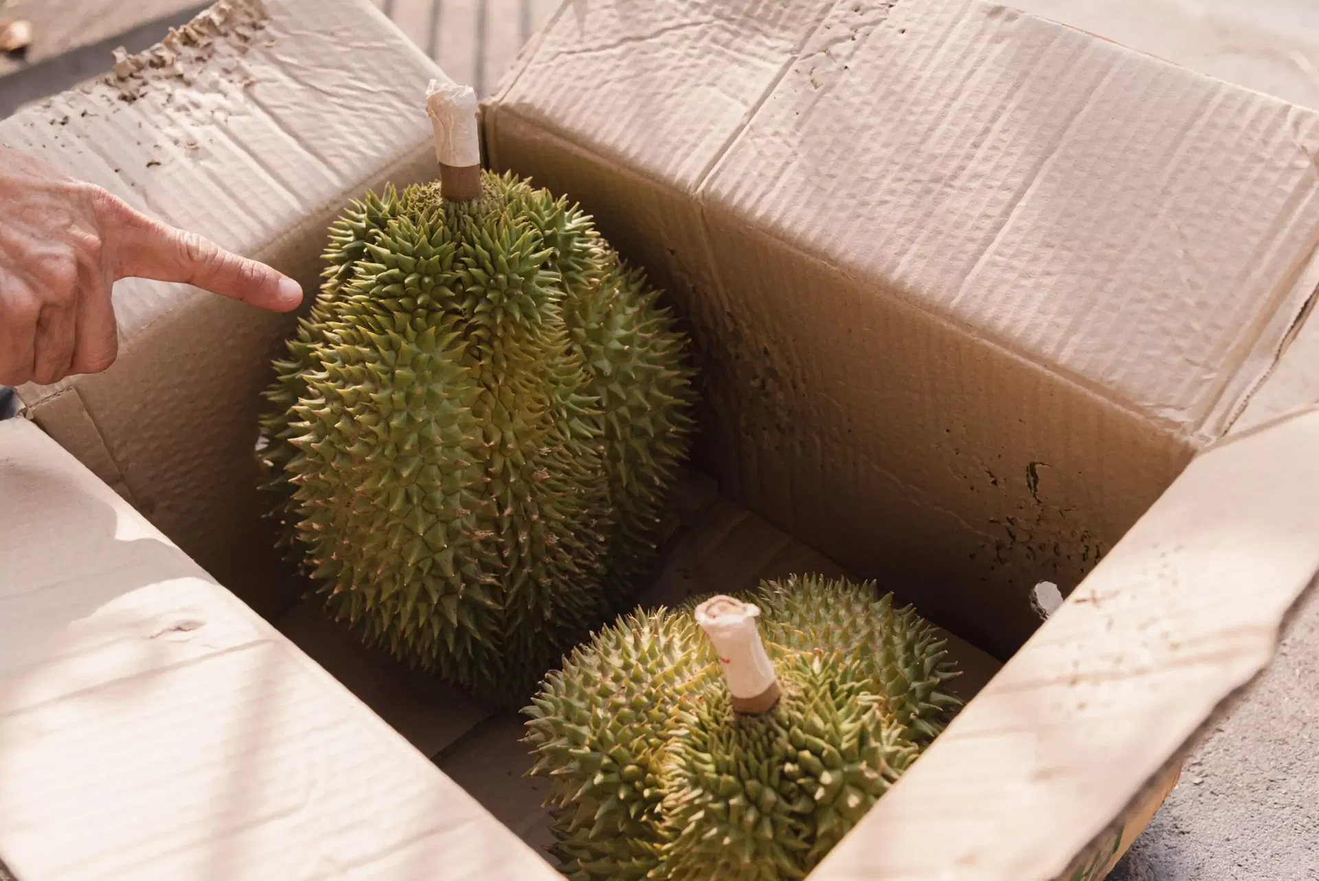 durians in a box