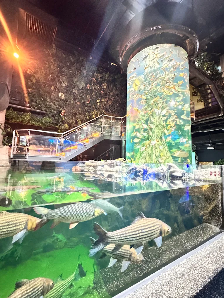 Aquaria KLCC near drowning (1)