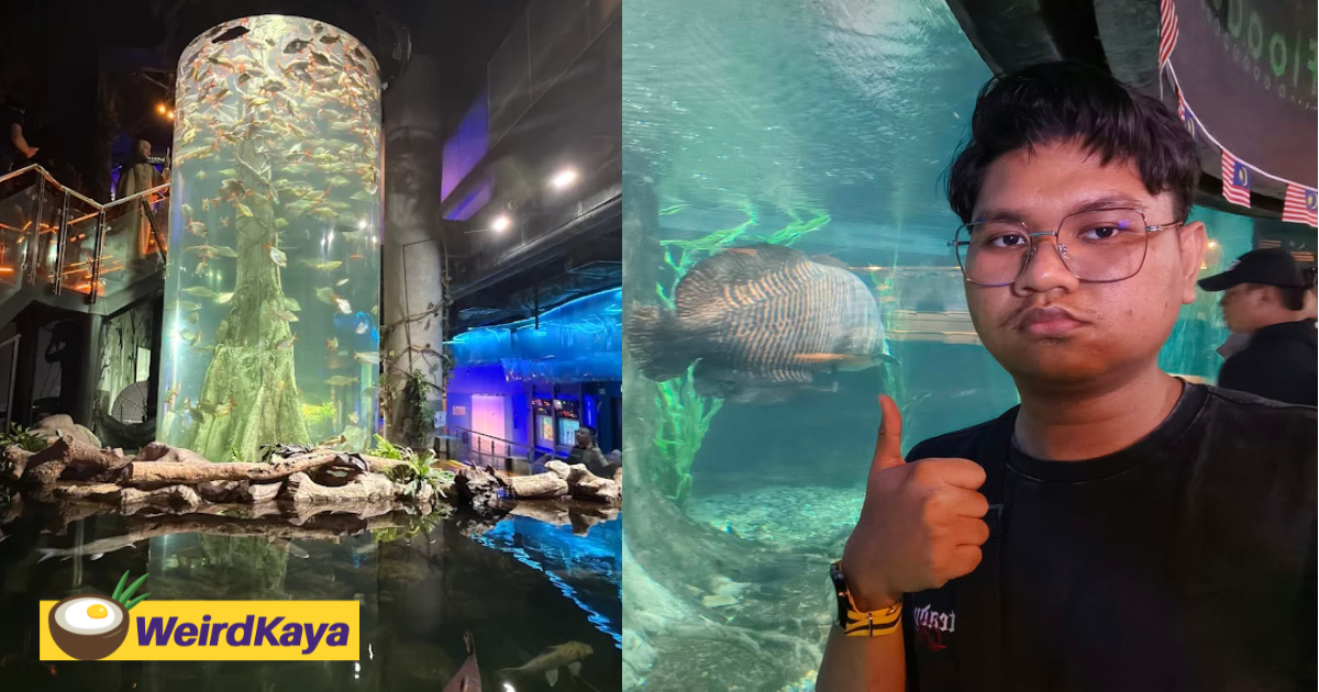Quick-Thinking M’sian Saves Young Boy Who Nearly Fell Into Fish Pond At Aquaria KLCC | WeirdKaya