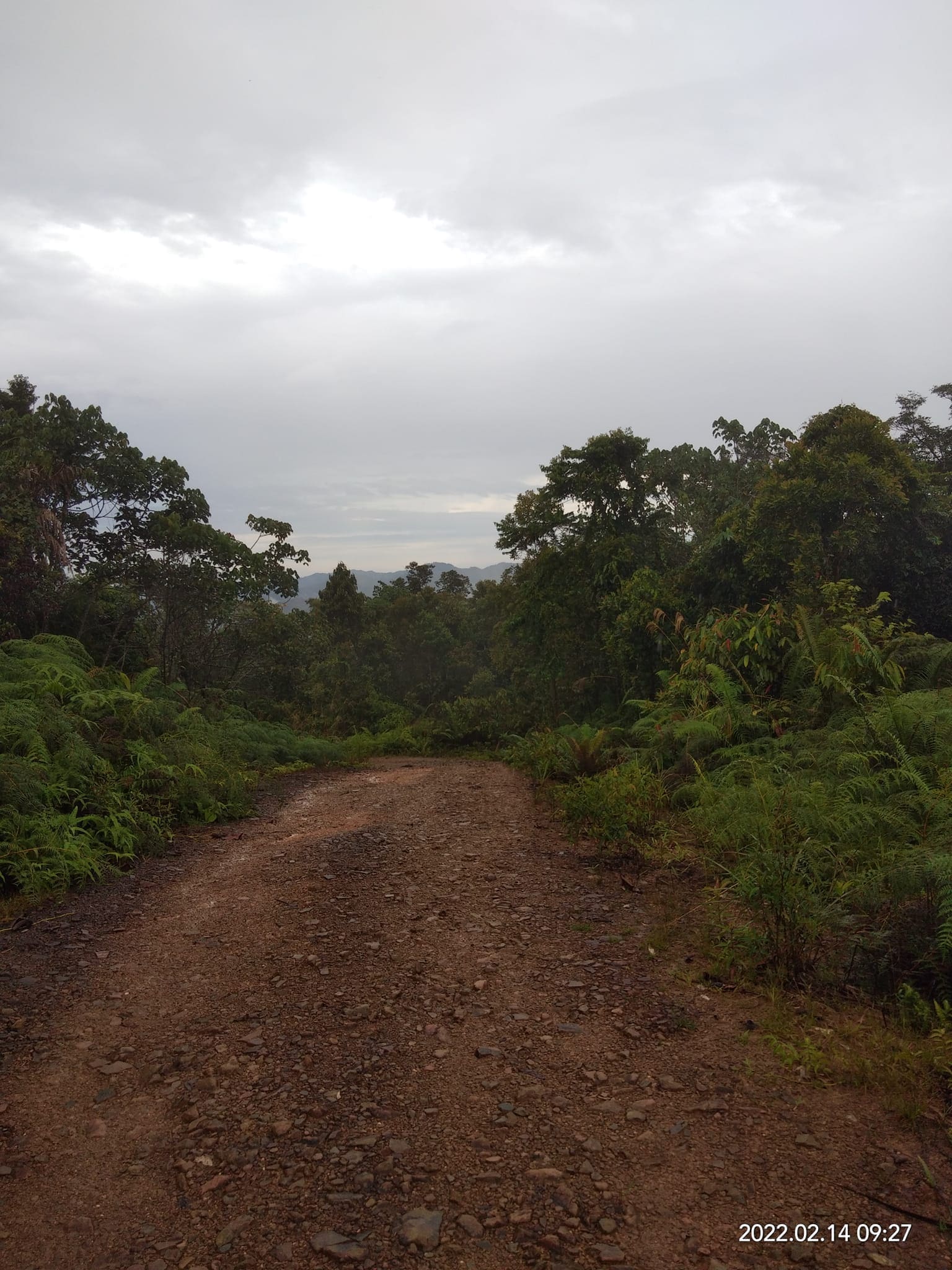 Bukit Kelingkang