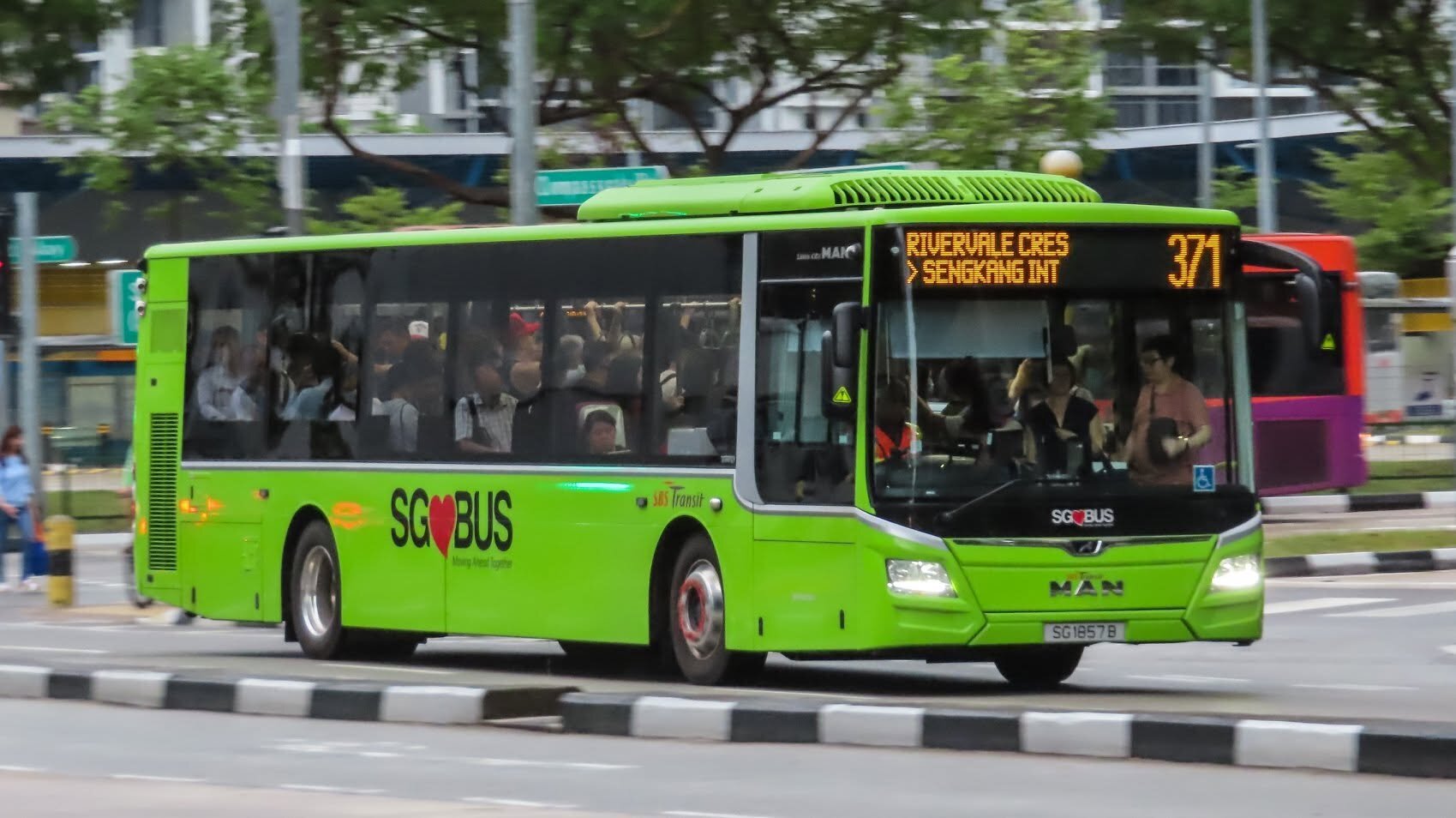 Bus 371 in S'pore