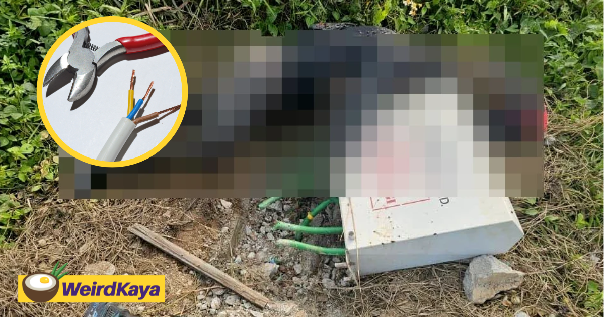 M’sian Man Electrocuted While Stealing Cable In Klang | WeirdKaya