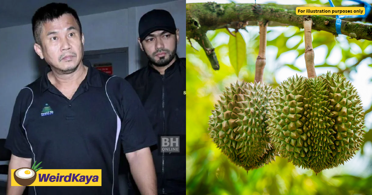 M’sian CEO Accused Of Defrauding Businessman Of RM1.65mil In Durian Orchard Deal | WeirdKaya