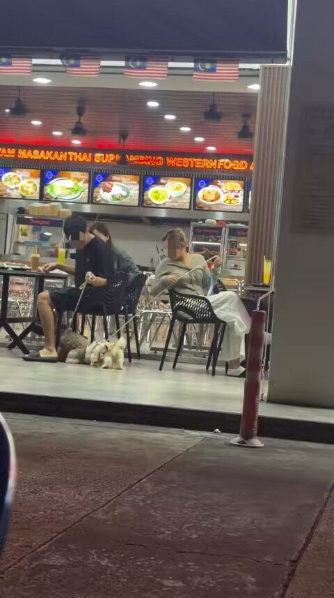 Group brings dogs to mamak (1)