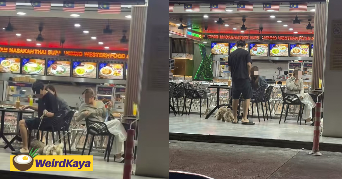 Group Slammed For Bringing Dogs Into Mamak Stall At Subang Jaya | WeirdKaya