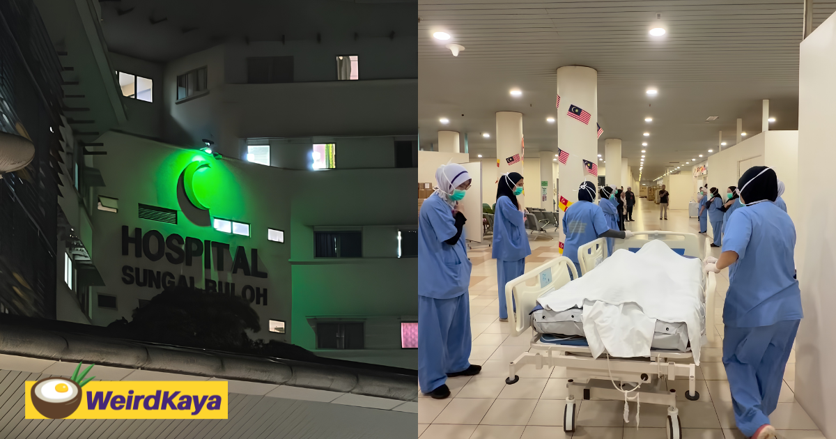 Hospital Sungai Buloh Lights Up Green To Honour Late Corneal Tissue Donor | WeirdKaya