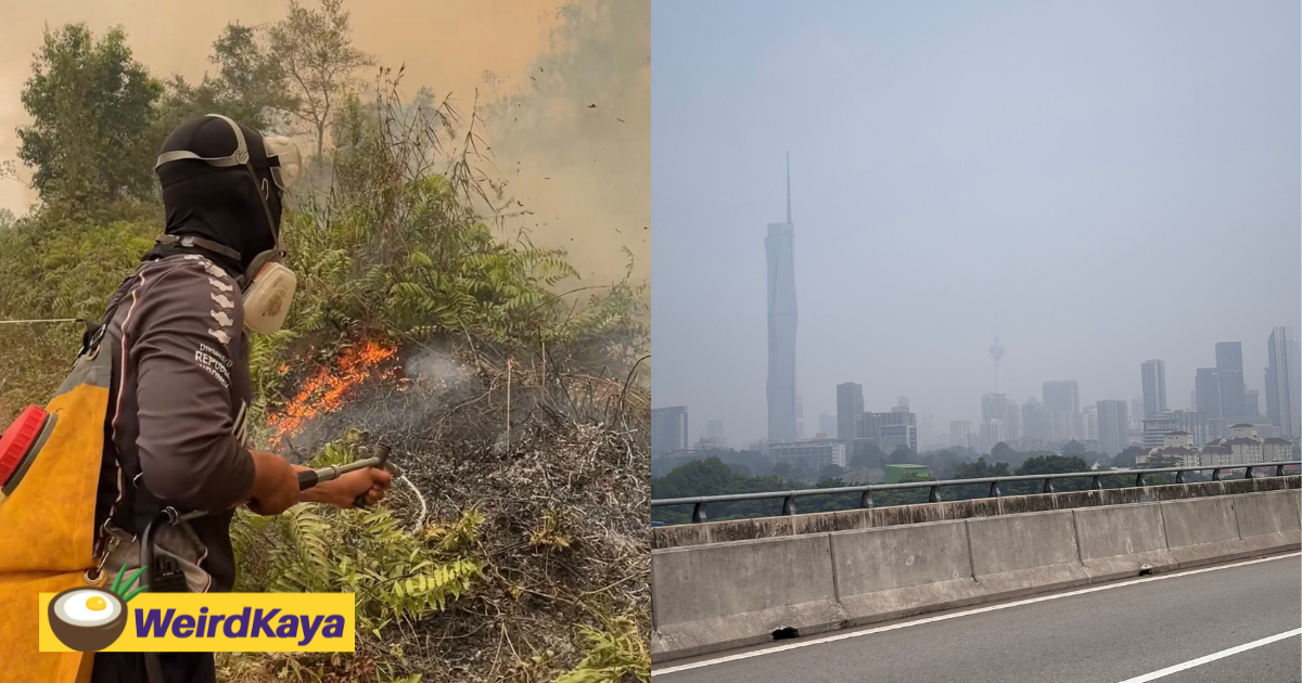 ‘Maybe They Don’t Need Our Help’ — M’sia Yet To Get Reply From Indonesia Over Offer To Help Combat Haze | WeirdKaya