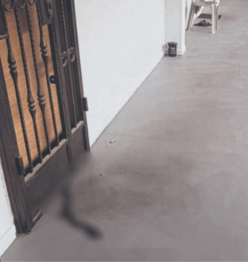 Man dies alone at SG home (2)