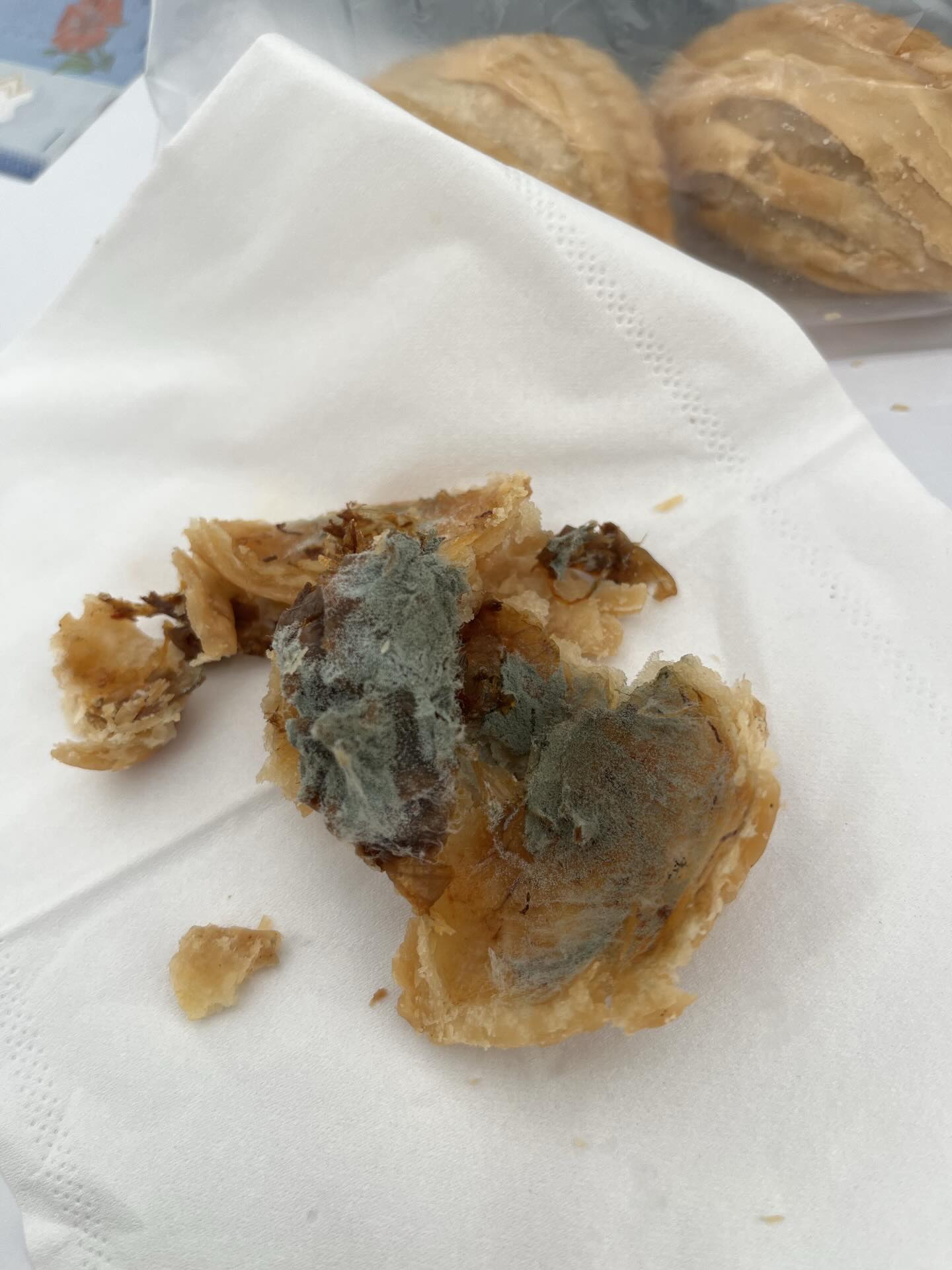 Mouldy curry puff (2)