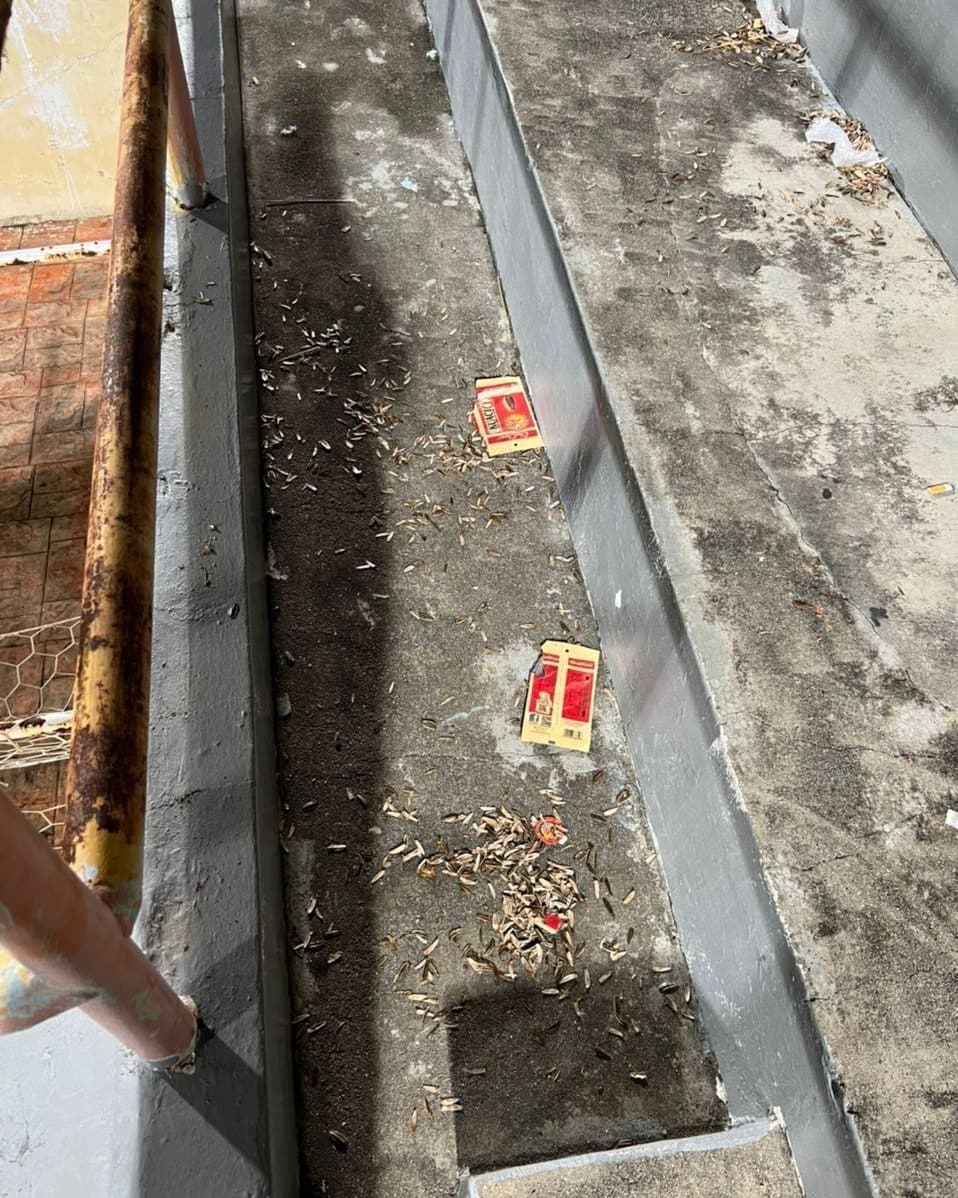 littering