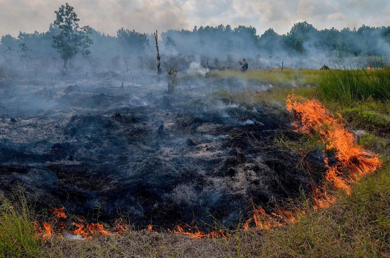Wildfire in Indonesia