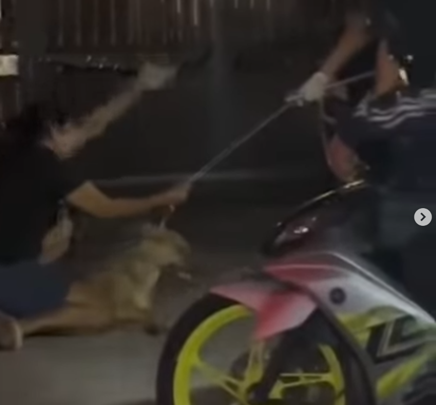 a malaysian woman protecting her dog rocky