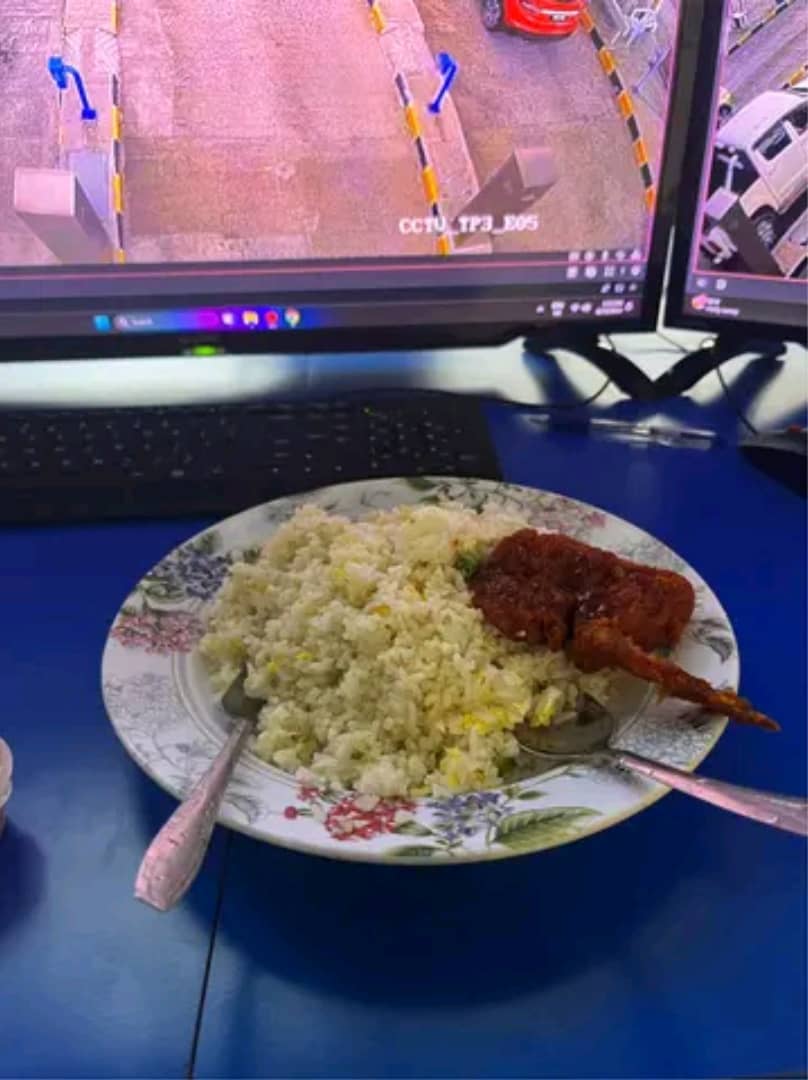 a plate of fried rice with chicken wing