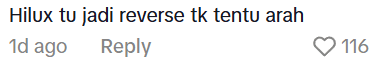 Comment on elephant attack (1)