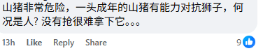 Comment on firefighter catching wild boar (2)