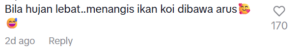 Comment on fish in longkang (1)