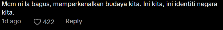 Comment on musicians performing traditional instrument on MRT Screenshot 2025-02-24 132151 (3)