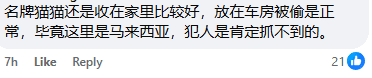 Comment on stealing cat in cage Screenshot 2025-03-14 173001 (1)