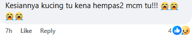 Comment on stealing cat in cage Screenshot 2025-03-14 173001 (2)