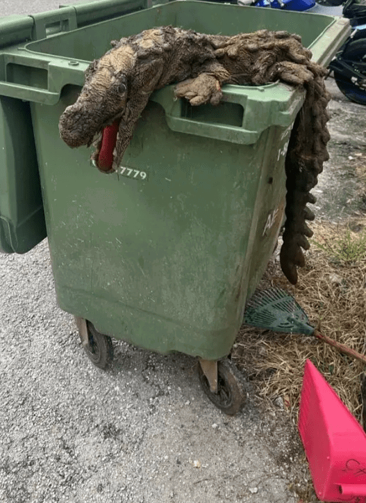 crocodile plushy on top of a rubbish bin