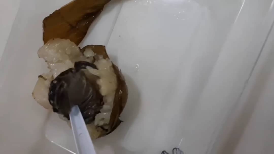 dead frog inside lemang