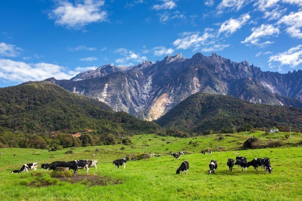 5 Reasons Why Sabah SHOULD Be In Your List