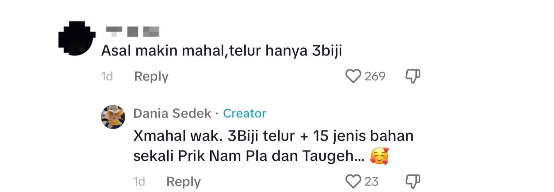 comment - M'sian Woman Sells Thai-Styled Omelette For RM13, Netizens Say It's Not Worth It & Too Oily 