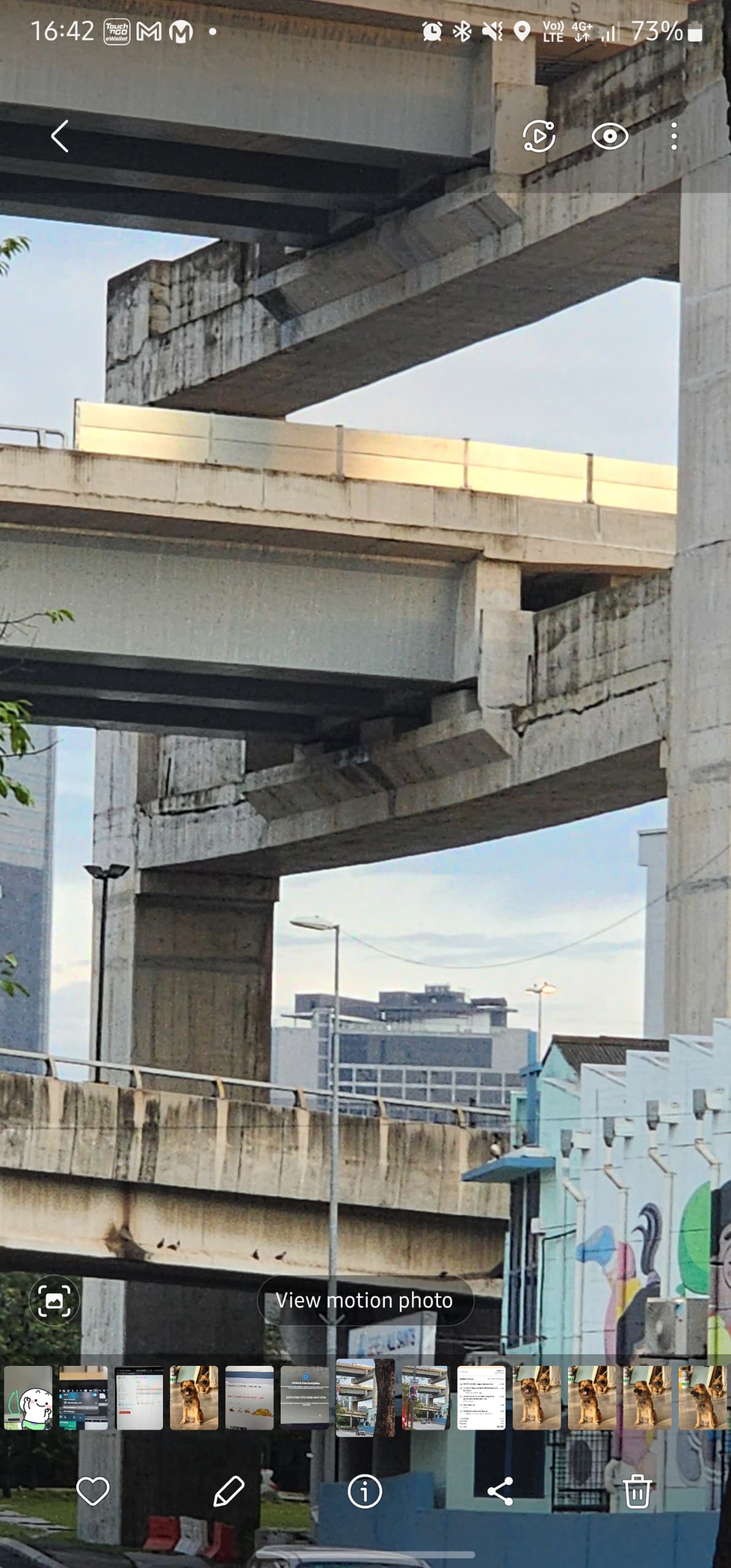 Flyover bridge in June