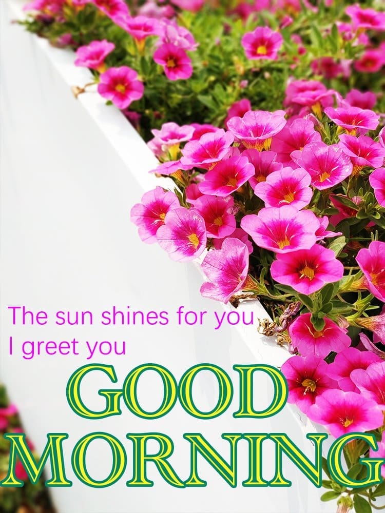 Good morning picture