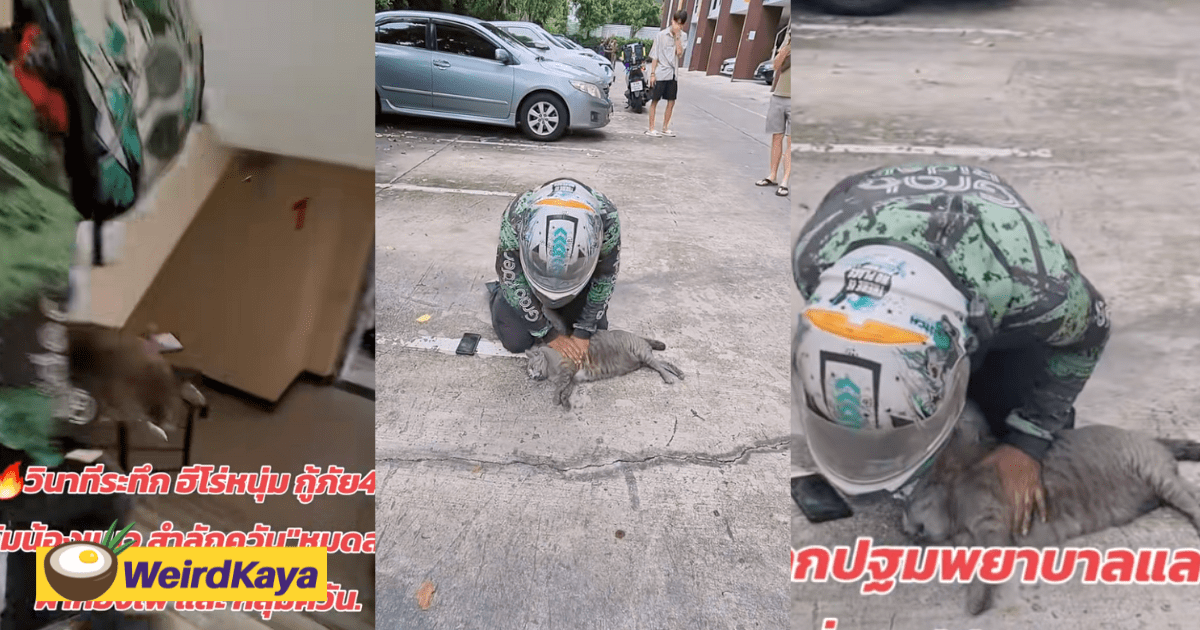 Grab Rider Rushes Into Burning Condo To Save Cat, Performs CPR Until It Revives Again
