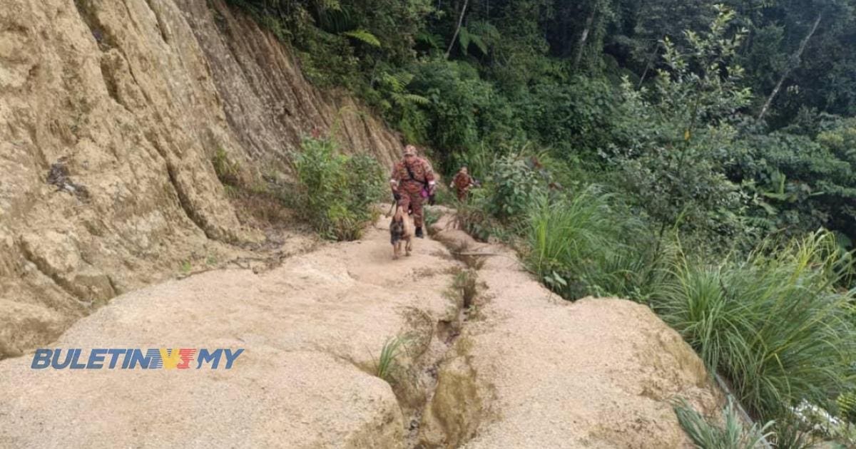 Firefighters, along with a K-9 dog, are looking for the missing Indian tourist.