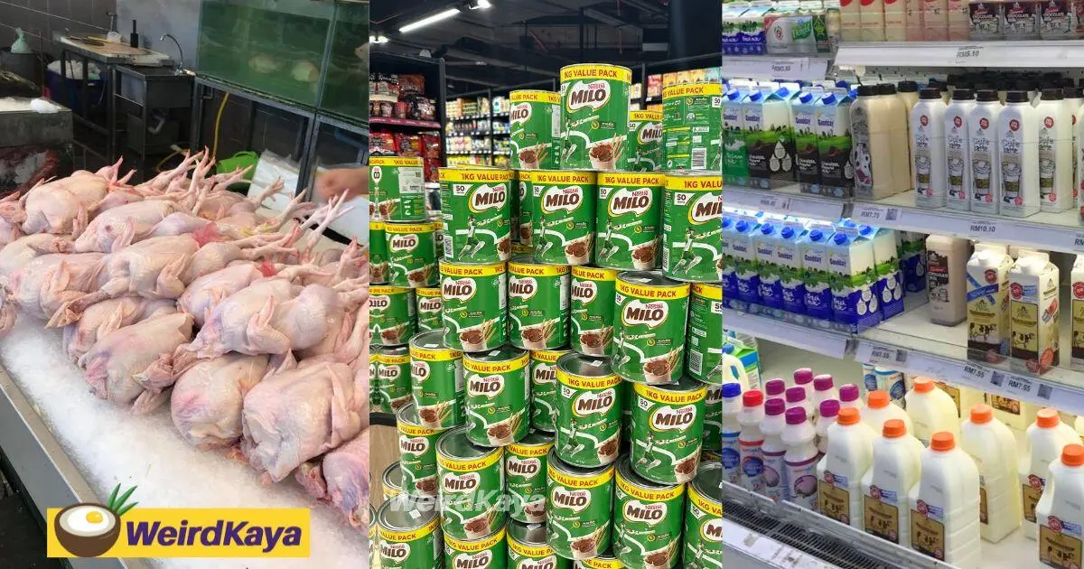 Here's A List Of Items That Will Remain SST-Free From July 1 Onwards