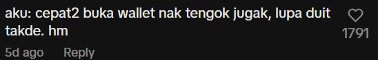 Hidden design in Ringgit Screenshot 2024-11-16 120036 (5)
