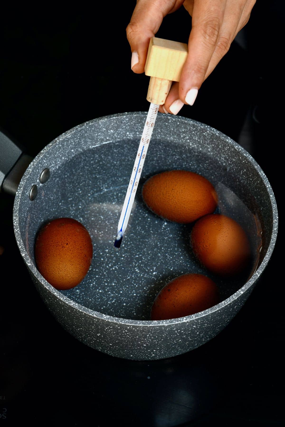 egg thermometer