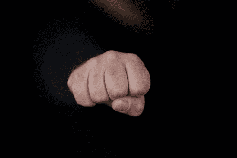 human fist